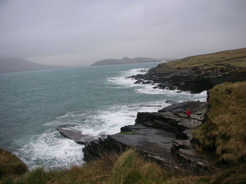 Tetrapod Trackway