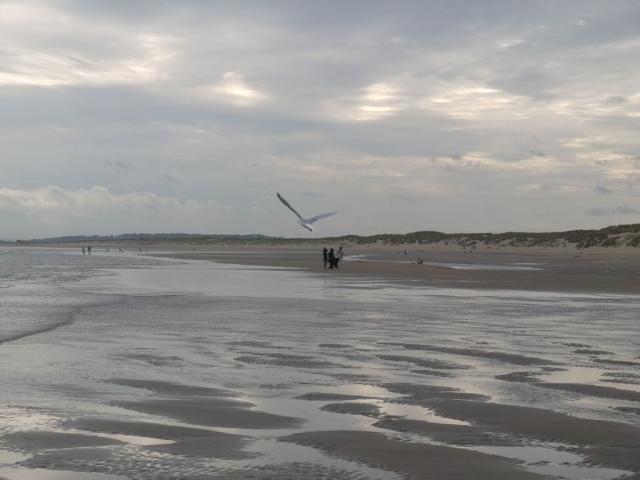 Camber Sands