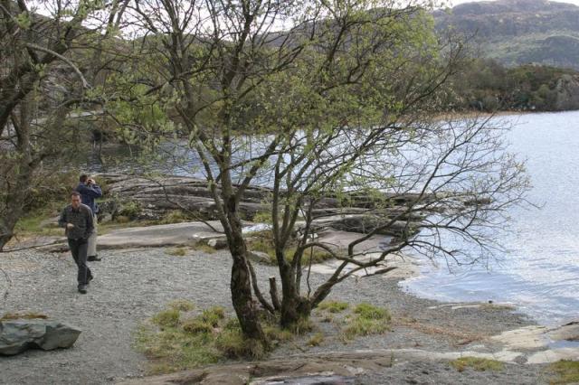 Killarney National Park