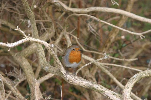 Killarney National Park