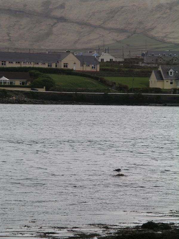 Skellig Experience Centre