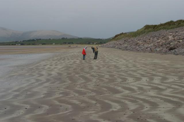 Am Strand von Waterville