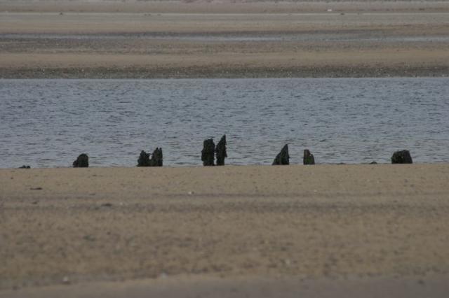 Am Strand von Waterville