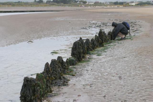 Am Strand von Waterville