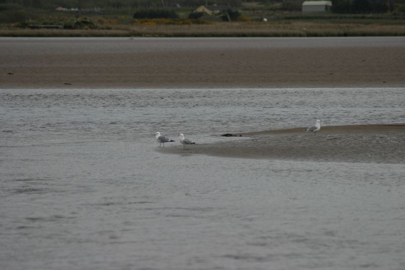 Am Strand von Waterville