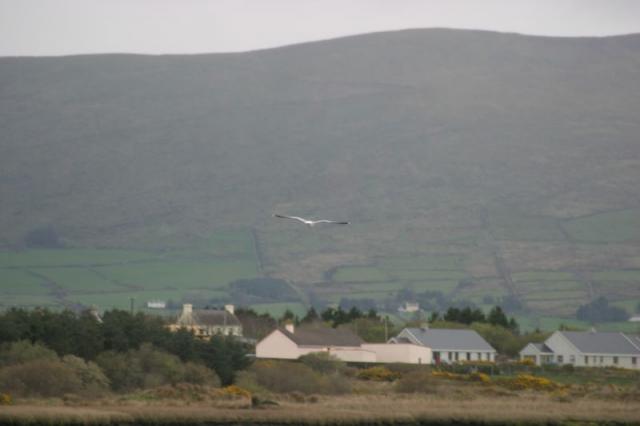 Am Strand von Waterville