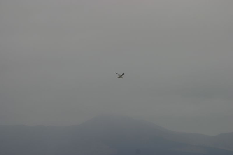 Am Strand von Waterville
