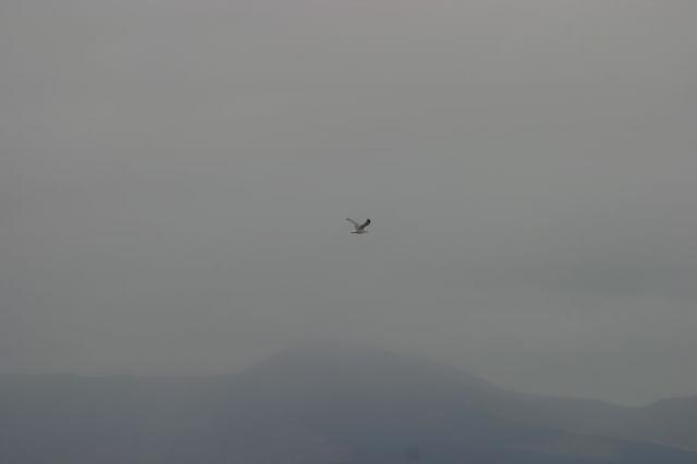 Am Strand von Waterville