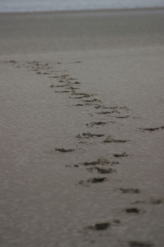 Am Strand von Waterville
