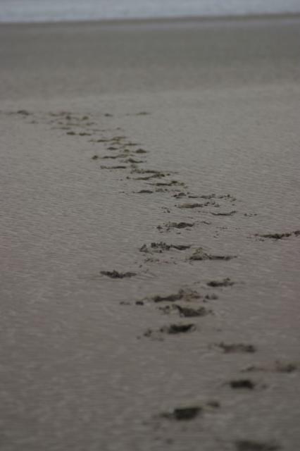 Am Strand von Waterville