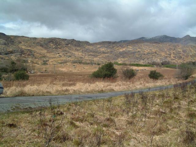 Black Valley in Braun