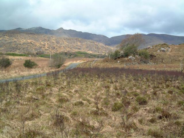 Black Valley in Braun