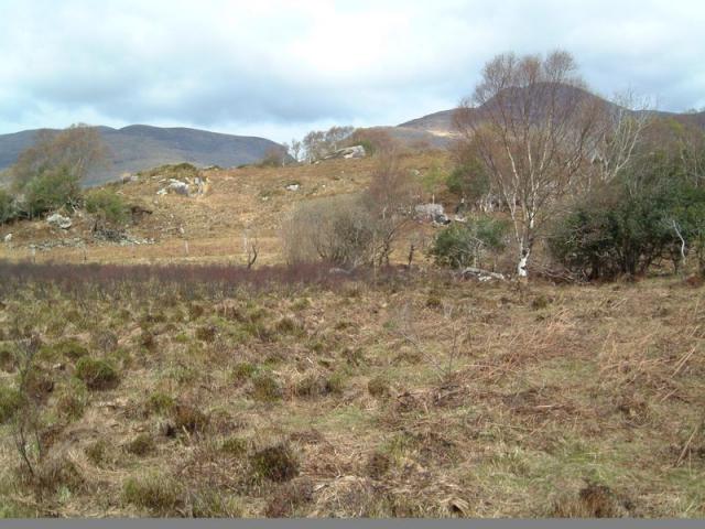 Black Valley in Braun