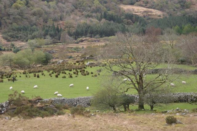Bergan zum Gap of Dunloe