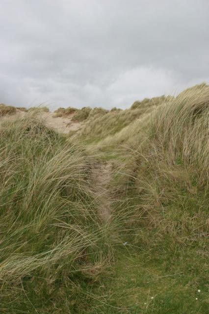 Düne bei Rossbeigh Strand
