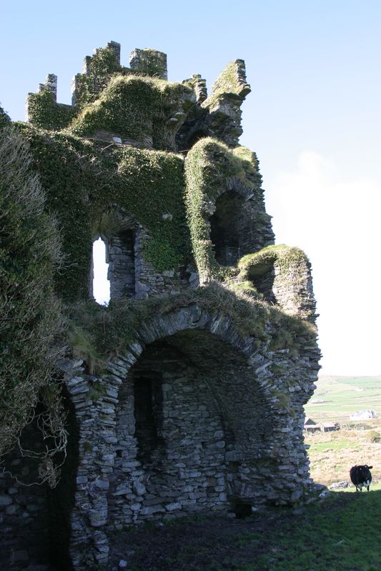Ballycarberry Castle