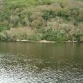 Ufer am Muckross Lake
