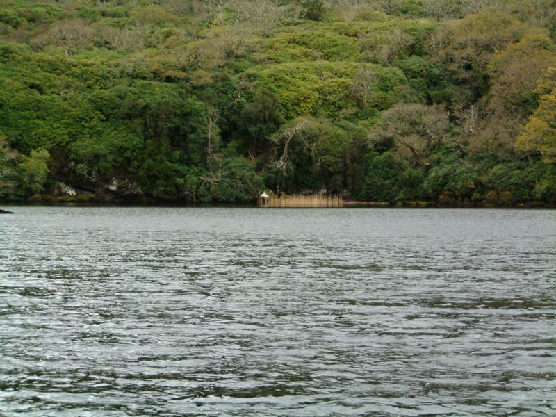 Ufer am Muckross Lake