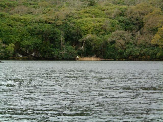 Ufer am Muckross Lake