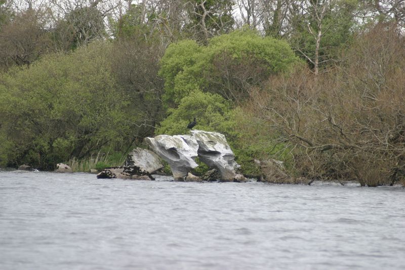 Felsen oder Skulptur?