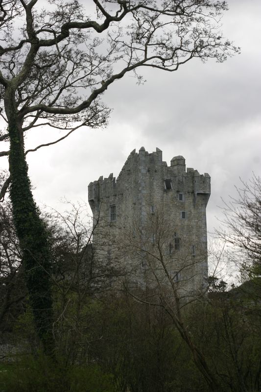 Ross Castle
