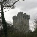 Ross Castle