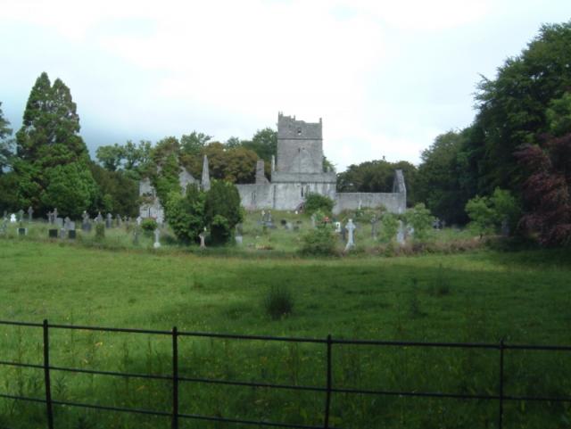 Muckross Abbey