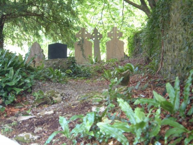 Friedhof um Muckross Abbey