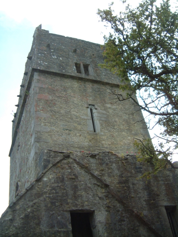 Muckross Abbey