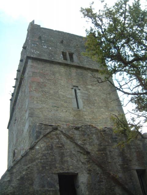 Muckross Abbey