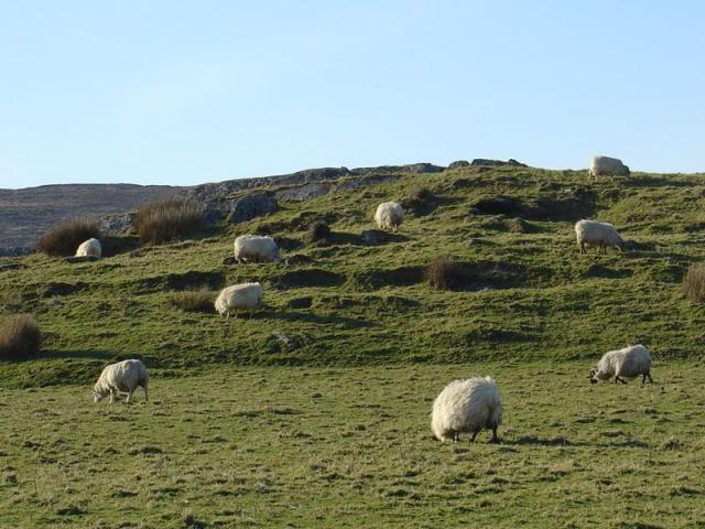 Exploring a Stone Fort