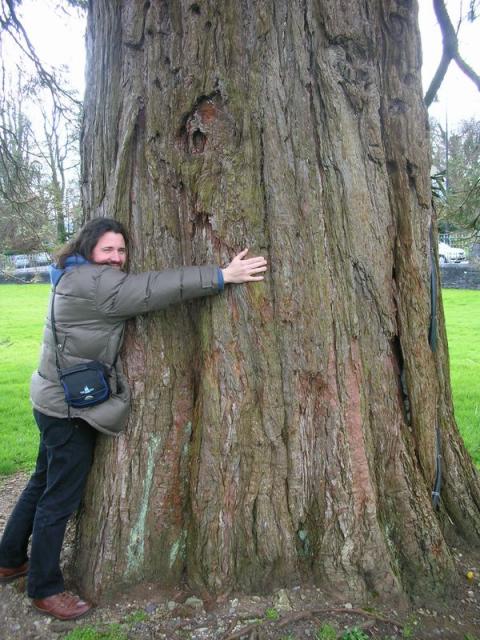 St. Mary's Cathedral, Killarney