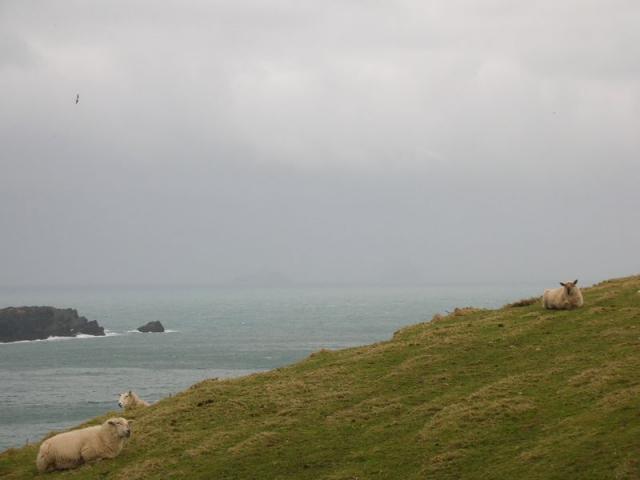 Valentia Island on a rainy morning