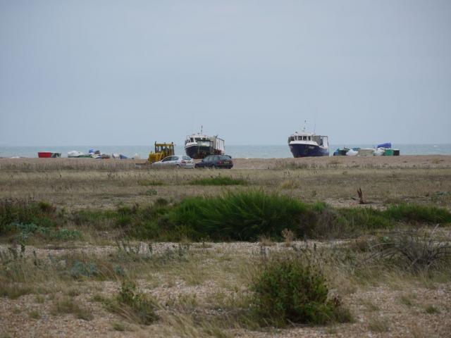 Dungeness