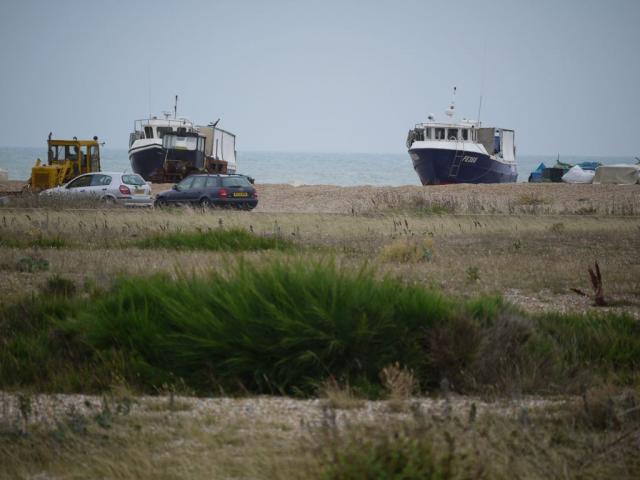 Dungeness